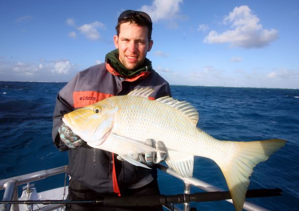 Fish Facts: Spangled emperor